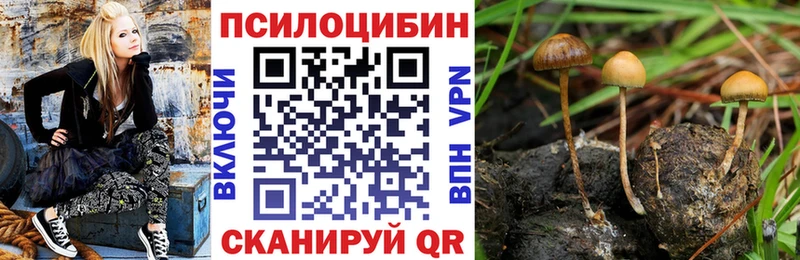 Галлюциногенные грибы ЛСД MEGA сайт Цивильск